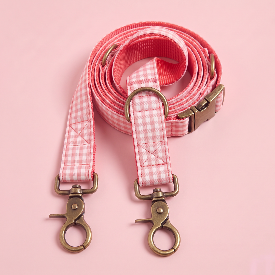 Correa Multiposición para Perros Vichy Rose (1,90 m)