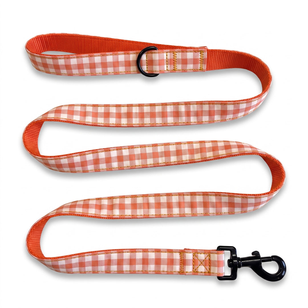 Correa Vichy Calabaza para Perro | Vetoven