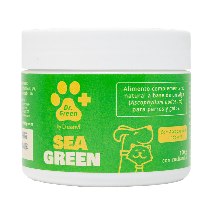 🐾 Sea Green- Prevención natural del sarro en perros y gatos