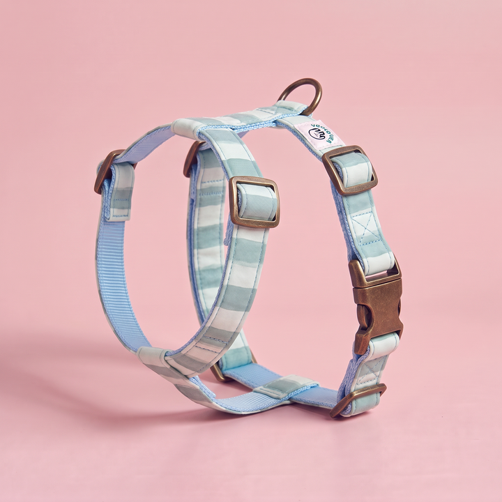 Arnés para Perros Sendero Acuamar 🌊 – Diseño en H | Hecho a Mano y Diseñado por Veterinarios · Colección Cobalto