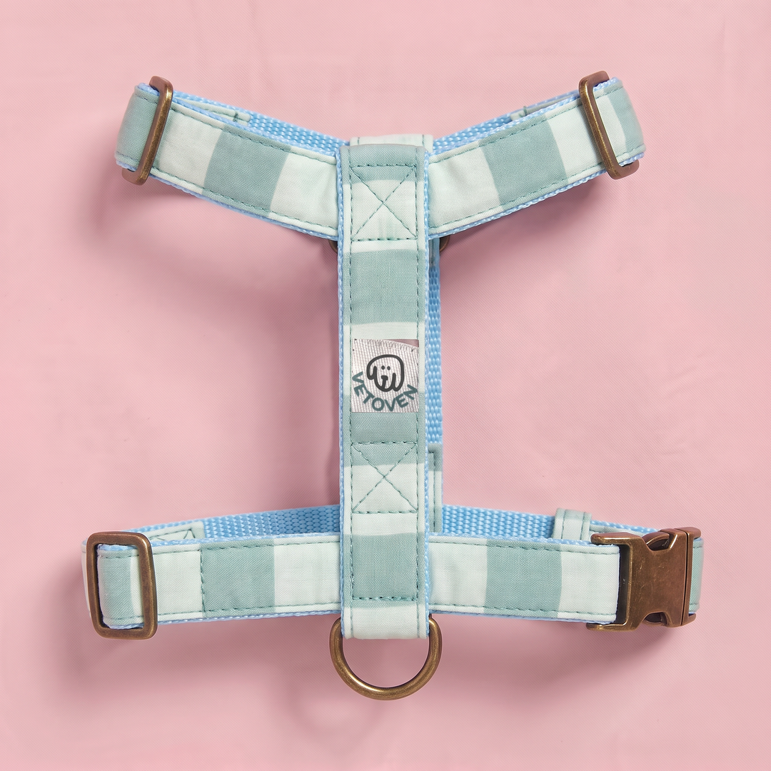 Arnés para Perros Sendero Acuamar 🌊 – Diseño en H | Hecho a Mano y Diseñado por Veterinarios · Colección Cobalto