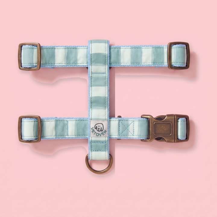 Arnés para Perros Sendero Acuamar 🌊 – Diseño en H | Hecho a Mano y Diseñado por Veterinarios · Colección Cobalto