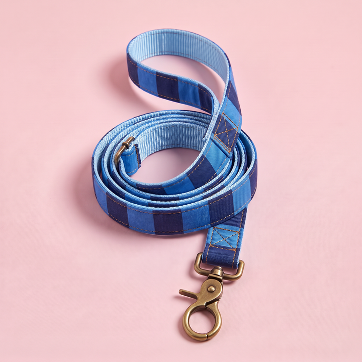 Correa para Perros Sendero Azul  💙(150 cm) – Colección Cobalto | Hecha a Mano y Diseñada por Veterinarios