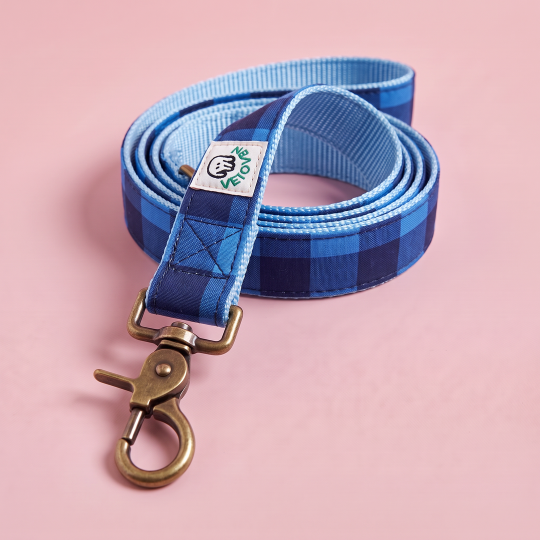 Correa para Perros Sendero Azul  💙(150 cm) – Colección Cobalto | Hecha a Mano y Diseñada por Veterinarios