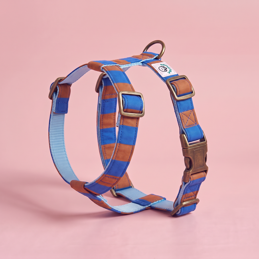 Arnés para Perros Sendero Horizonte – Colección Cobalto – puesto de pie