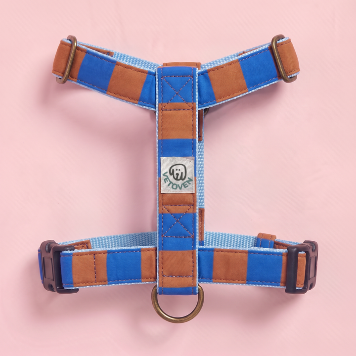 Arnés para Perros Sendero Horizonte – Colección Cobalto – vista plana