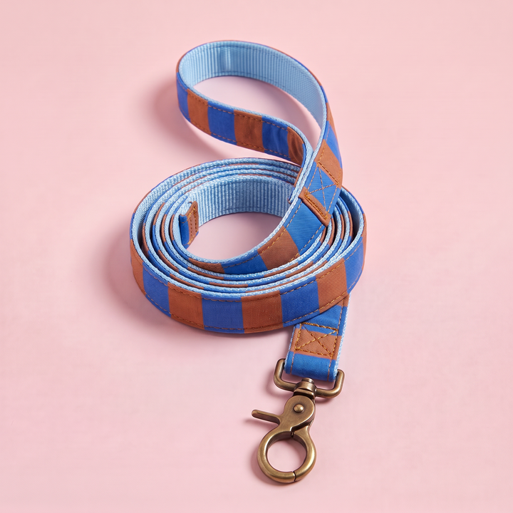 Correa para Perros Sendero Horizonte 🟤 (150 cm) – Colección Cobalto | Hecha a Mano y Diseñada por Veterinarios
