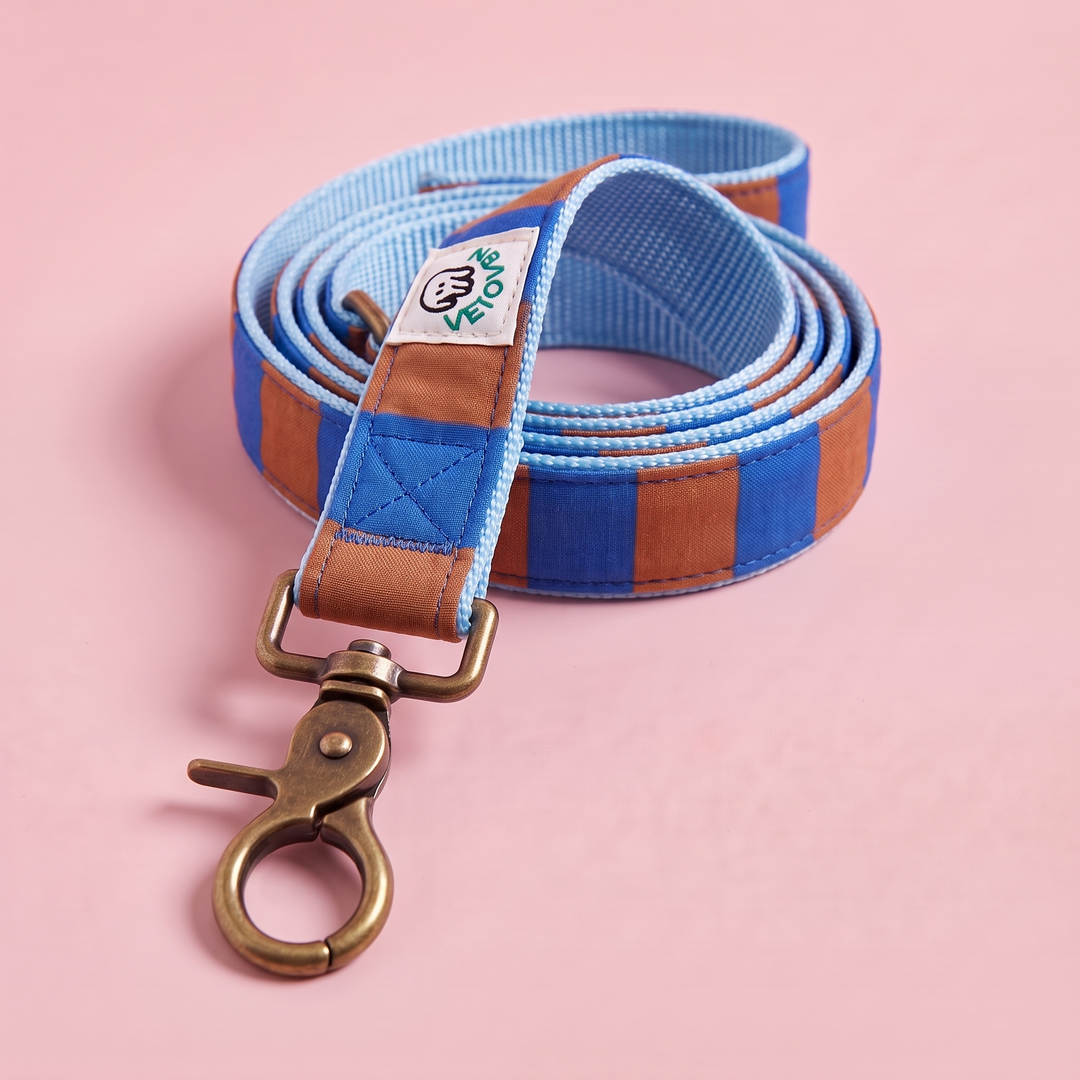 Correa para Perros Sendero Horizonte 🟤 (150 cm) – Colección Cobalto | Hecha a Mano y Diseñada por Veterinarios