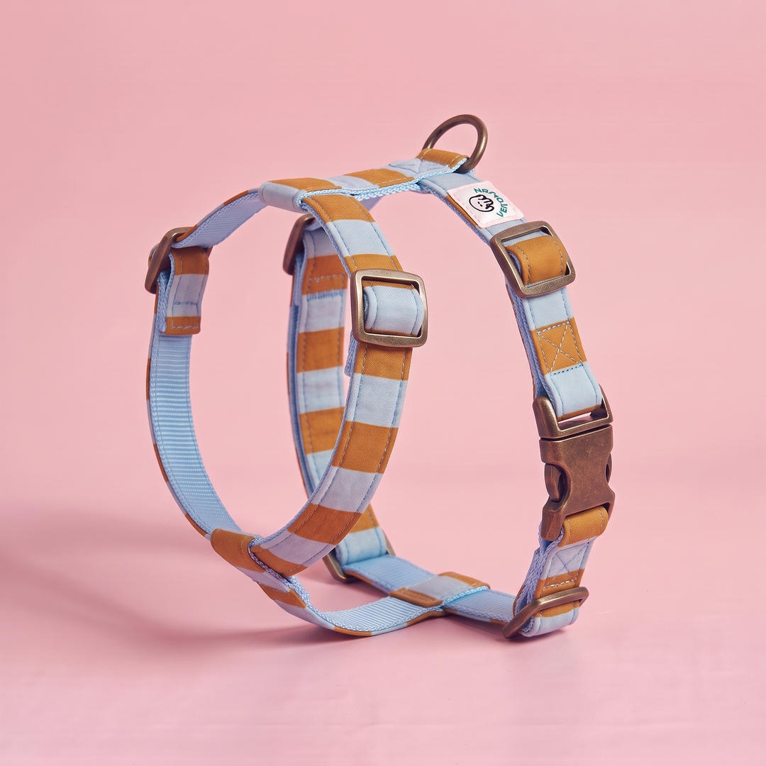 Arnés para Perros Sendero Terracota 🍂 – Diseño en H | Hecho a Mano y Diseñado por Veterinarios · Colección Cobalto