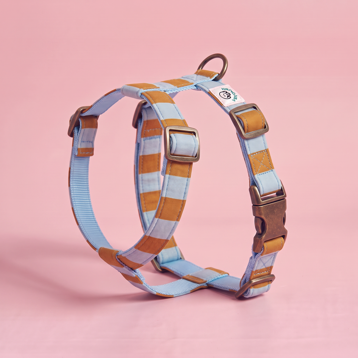 Arnés para Perros Sendero Terracota 🍂 – Diseño en H | Hecho a Mano y Diseñado por Veterinarios · Colección Cobalto