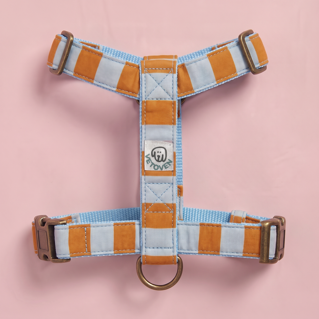 Arnés para Perros Sendero Terracota 🍂 – Diseño en H | Hecho a Mano y Diseñado por Veterinarios · Colección Cobalto