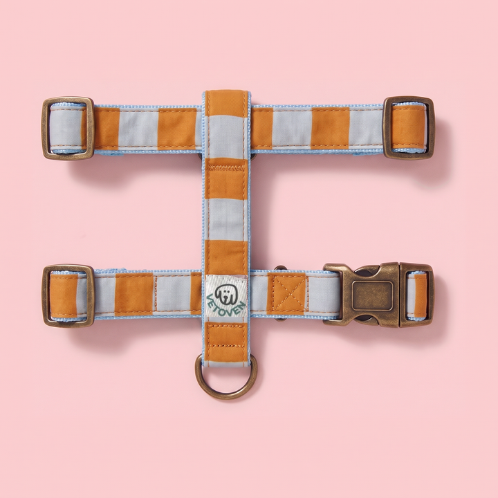 Arnés para Perros Sendero Terracota 🍂 – Diseño en H | Hecho a Mano y Diseñado por Veterinarios · Colección Cobalto