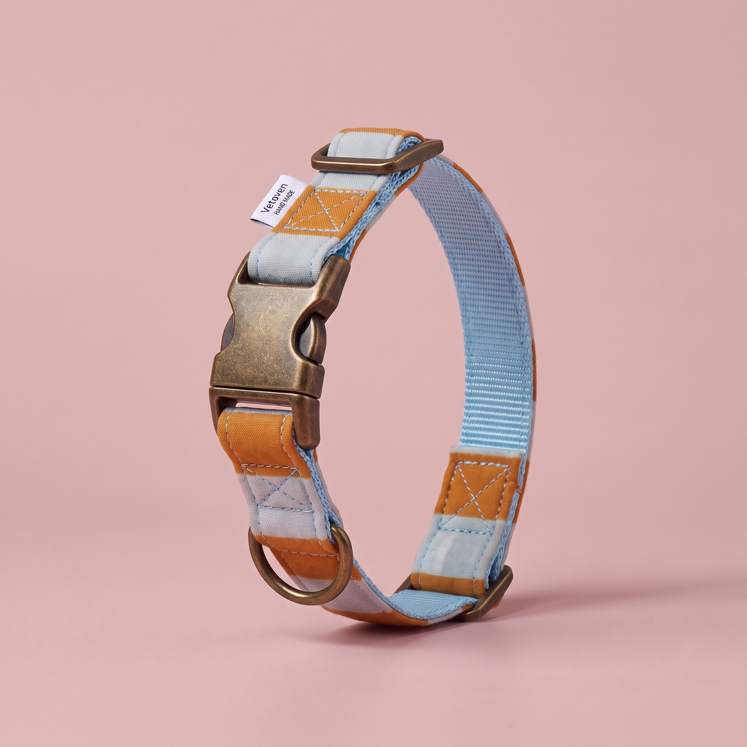Collar para Perros Sendero Terracota 🍂 – Colección Cobalto | Hecho a Mano y Diseñado por Veterinarios