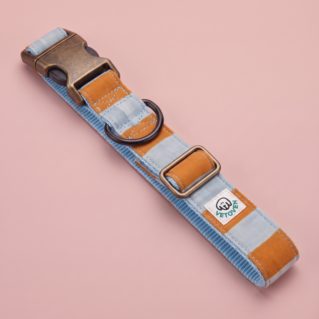 Collar para Perros Sendero Terracota 🍂 – Colección Cobalto | Hecho a Mano y Diseñado por Veterinarios