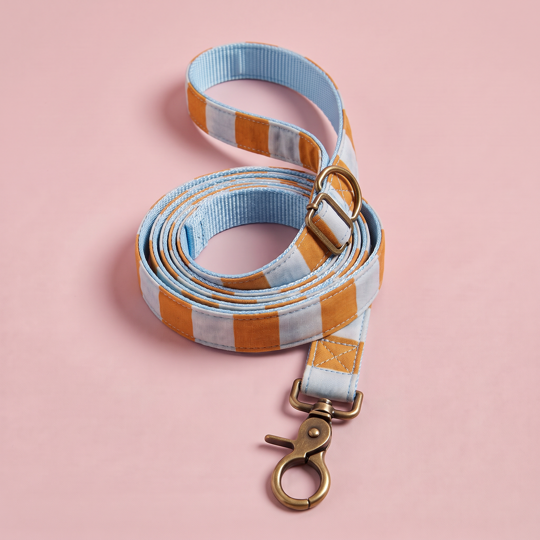 Correa para Perros Sendero Terracota 🍂 (150 cm) – Colección Cobalto | Hecha a Mano y Diseñada por Veterinarios (Copia)