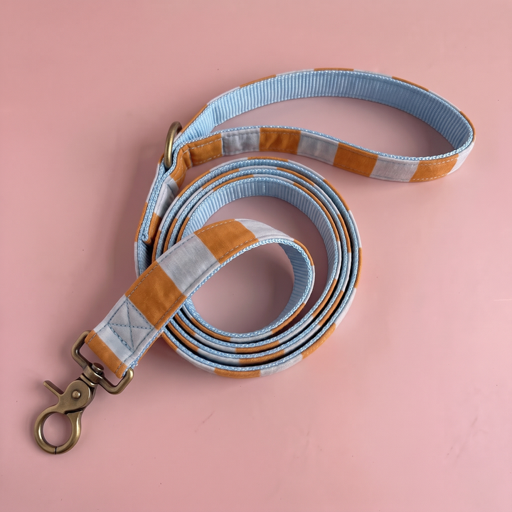 Correa para Perros Sendero Terracota 🍂 (150 cm) – Colección Cobalto | Hecha a Mano y Diseñada por Veterinarios (Copia)