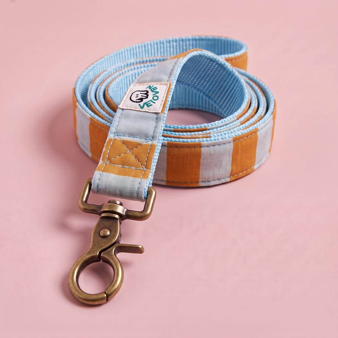 Correa para Perros Sendero Terracota 🍂 (150 cm) – Colección Cobalto | Hecha a Mano y Diseñada por Veterinarios (Copia)