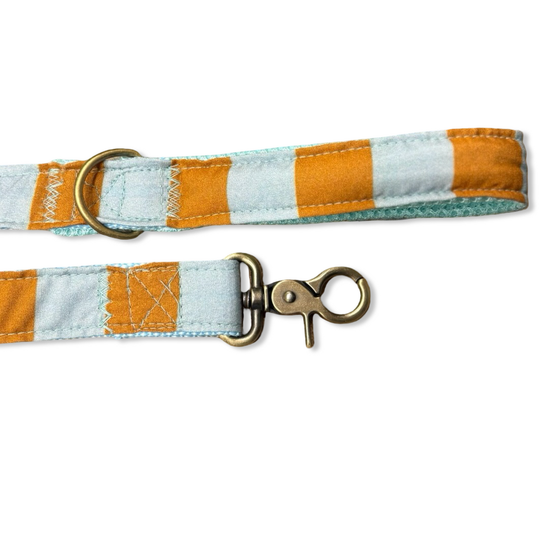 Correa para Perros Sendero Terracota 🍂 (150 cm) – Colección Cobalto | Hecha a Mano y Diseñada por Veterinarios (Copia)
