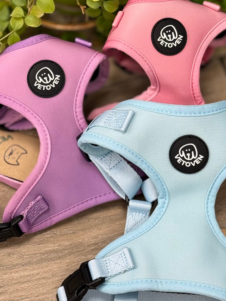 Arnés Lavanda Vetoven – Colección Primavera