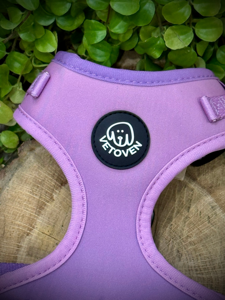 Arnés Lavanda Vetoven – Colección Primavera