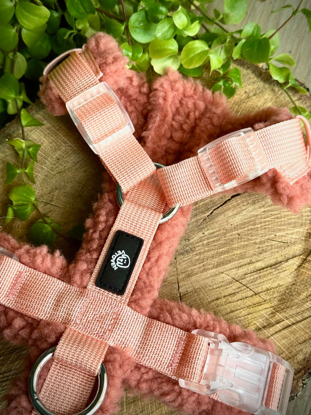 Arnés Acolchado Tierra de Palencia – Colección Merina