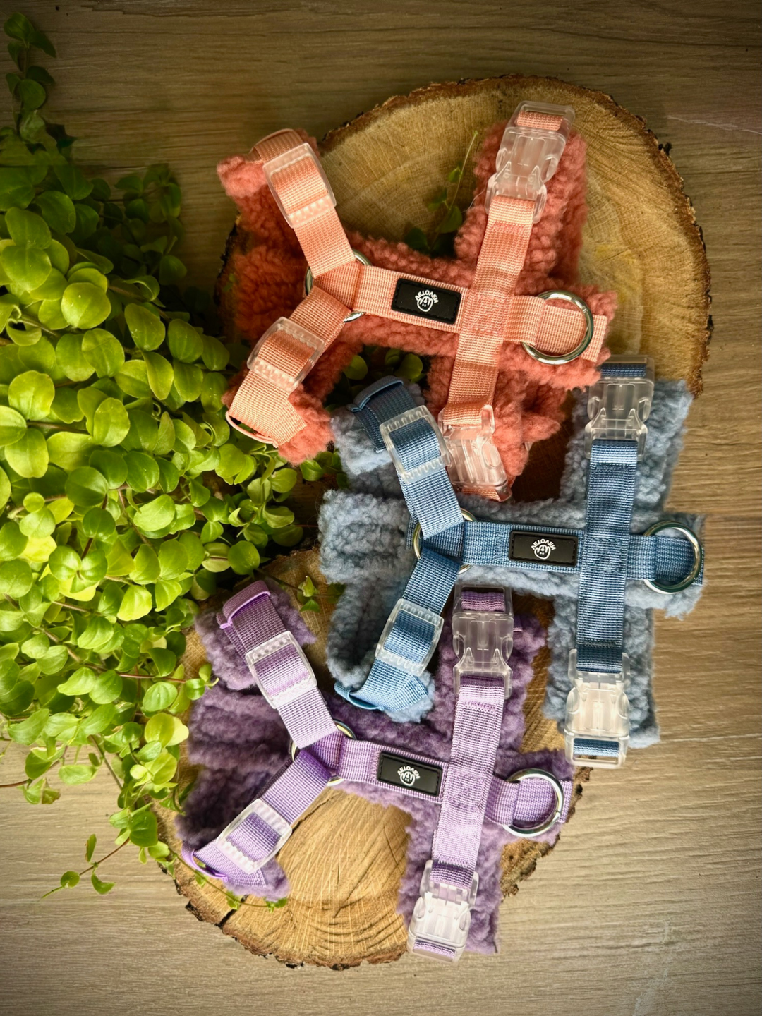 Arnés Acolchado Tierra de Palencia – Colección Merina