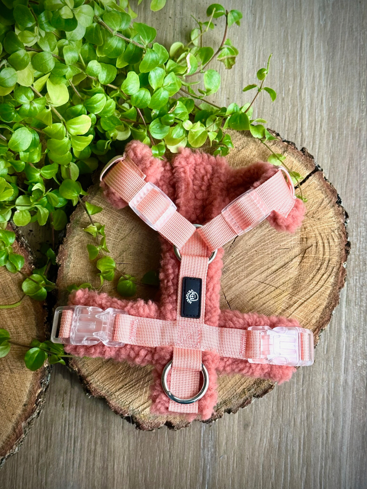 Arnés Acolchado Tierra de Palencia – Colección Merina