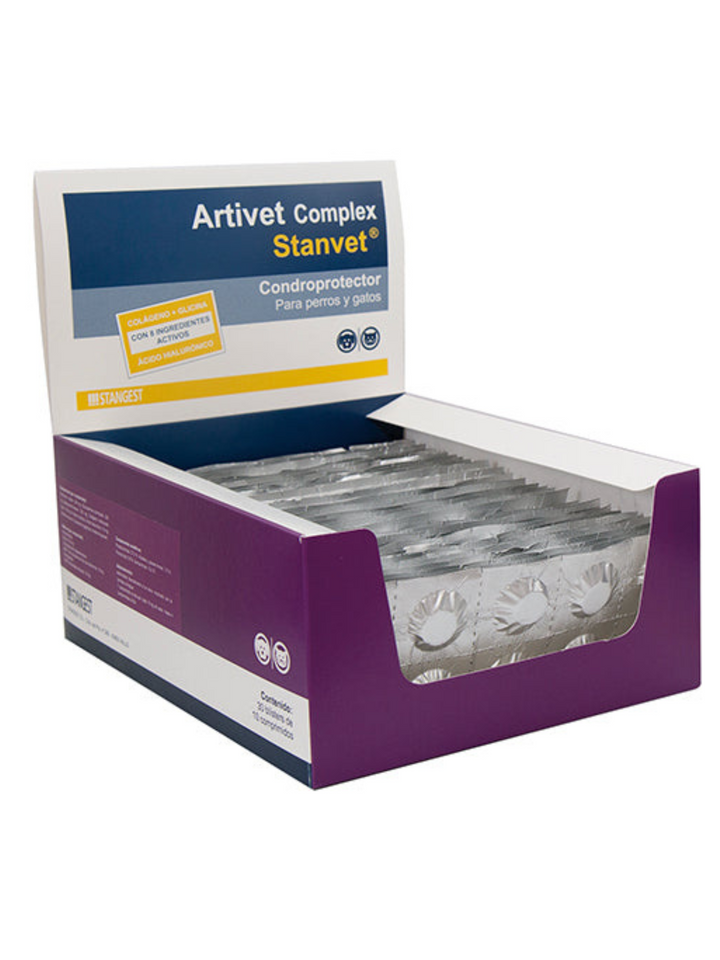 🦴 STANGEST ARTIVET COMPLEX