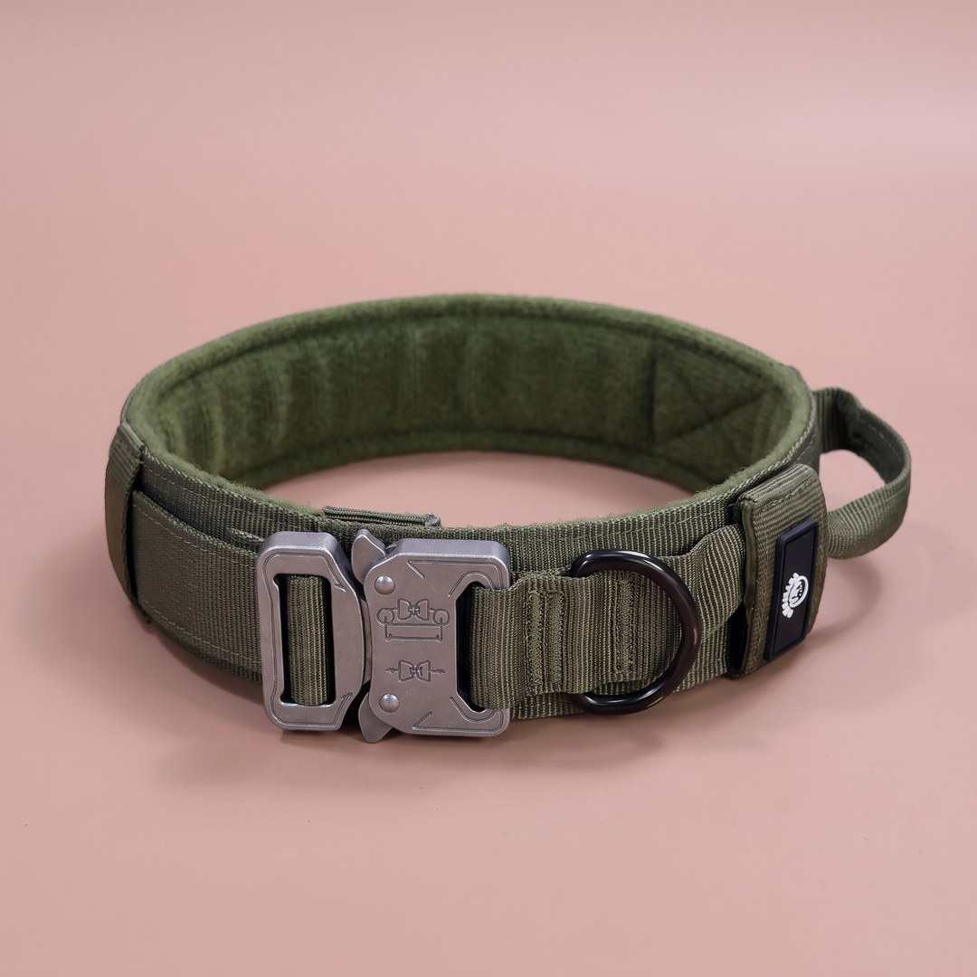 Collar Verde Musgo para Perros Grandes – Colección Roca & Ruta