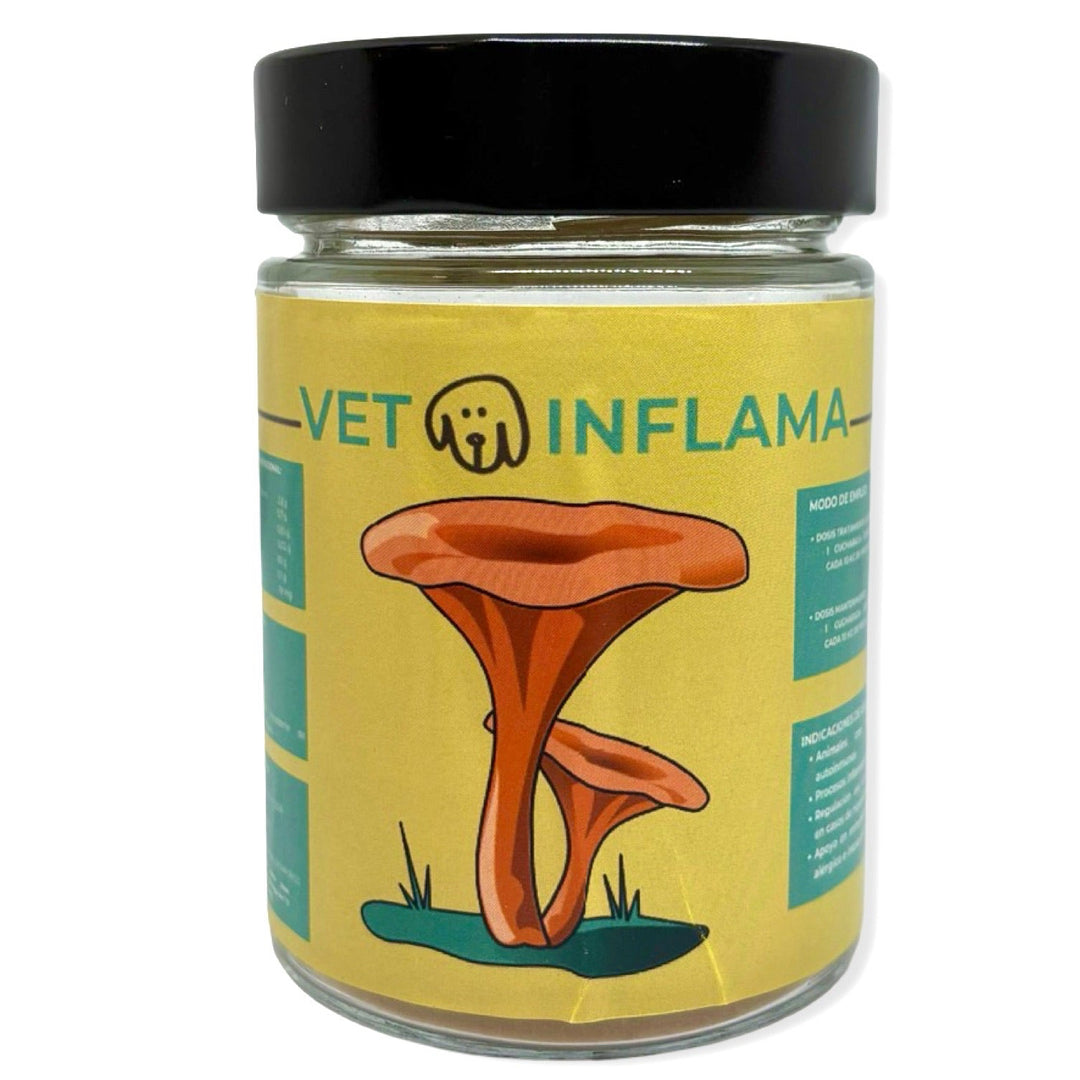 Bote de Vetoinflama, suplemento antiinflamatorio natural con hongos medicinales para perros de Vetoven.