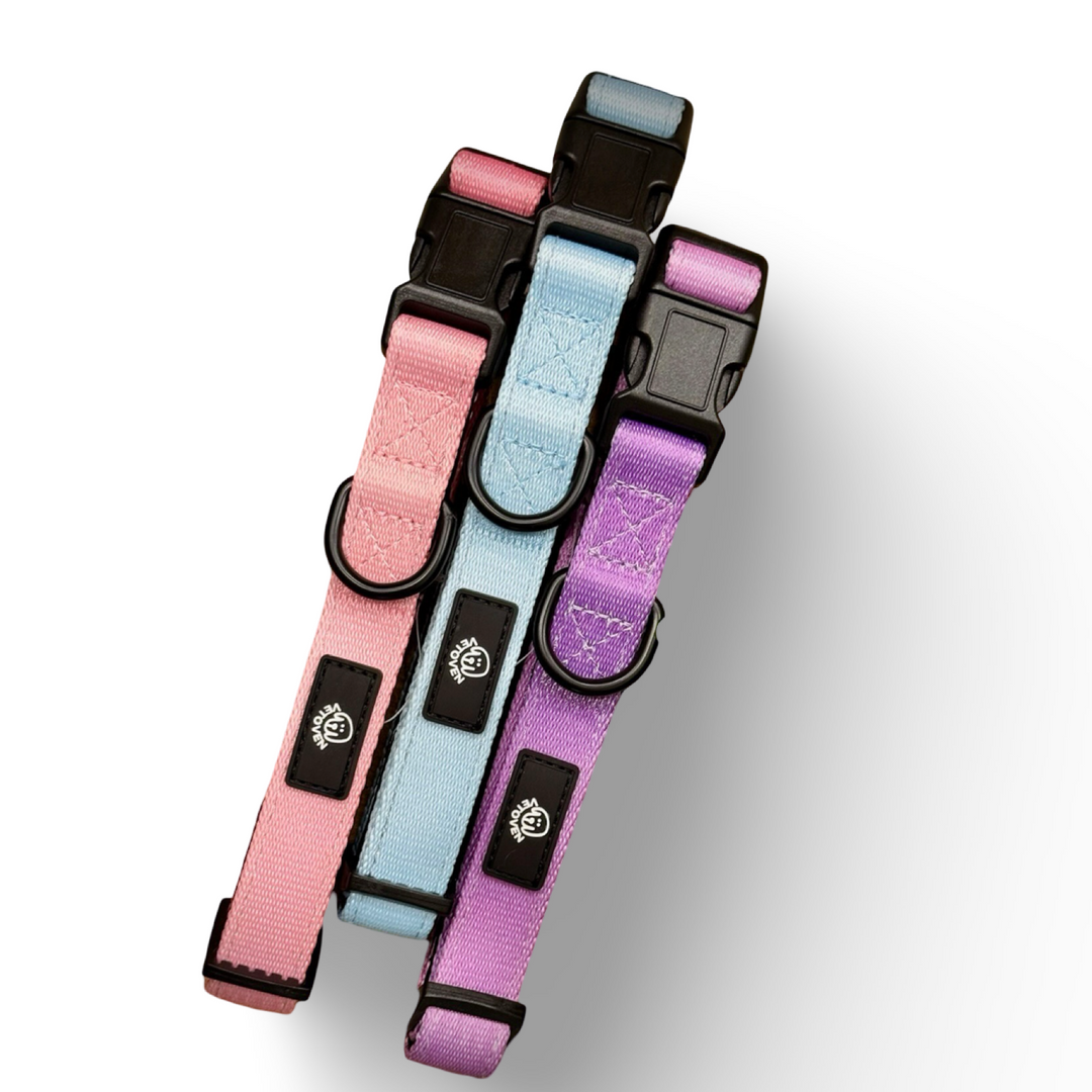 💜 Collar “Lavanda” para Perros – Colección Primavera Vetoven