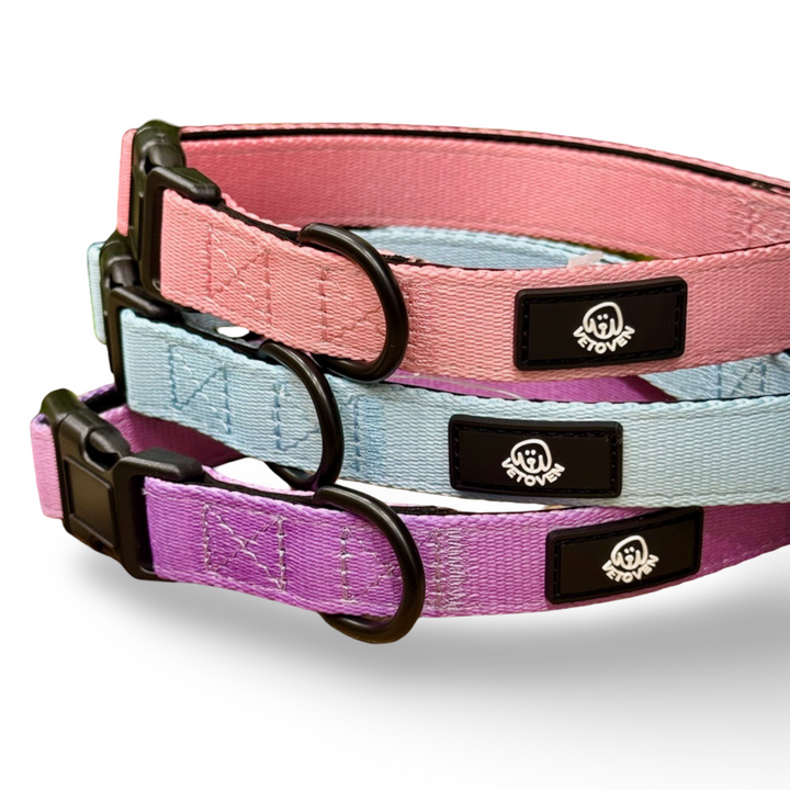 🩷 Collar “Brezo” para Perros – Colección Primavera Vetoven
