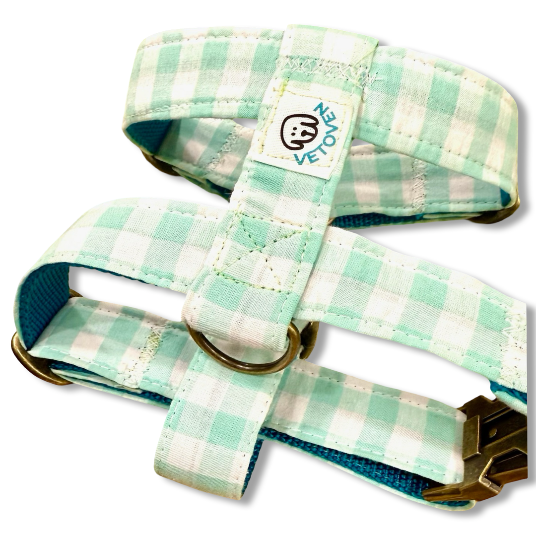 Arnés para perro Vichy Mar 🌊- Diseño en H, hecho a mano y diseñado por veterinarios