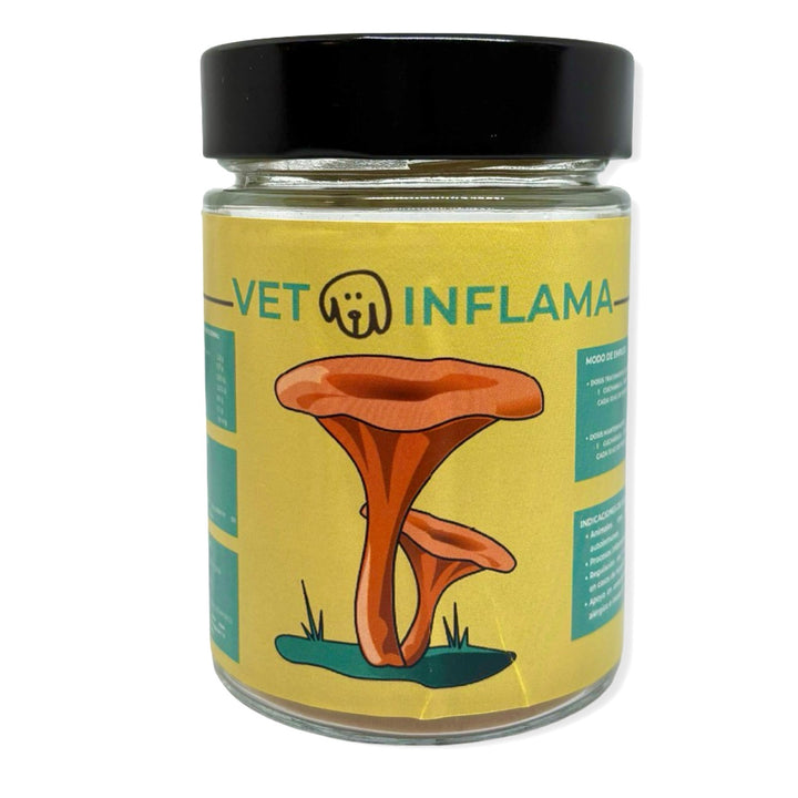 🌿 Vetoinflama – Apoyo Natural en Procesos Inflamatorios Crónicos para Perros y Gatos