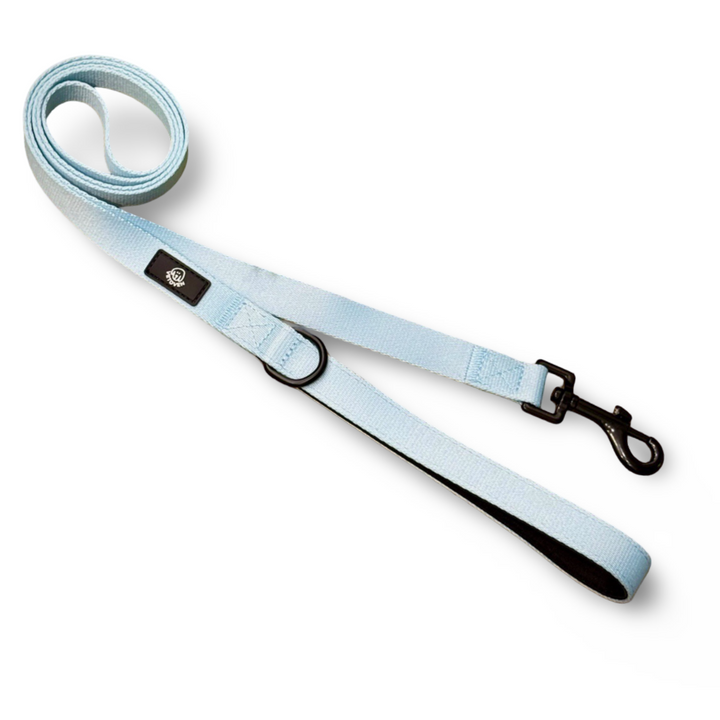 💙 Correa Cielo Vetoven – Colección Primavera