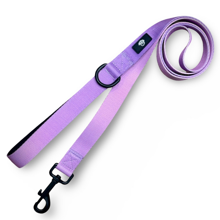 💜 Correa Lavanda Vetoven – Colección Primavera