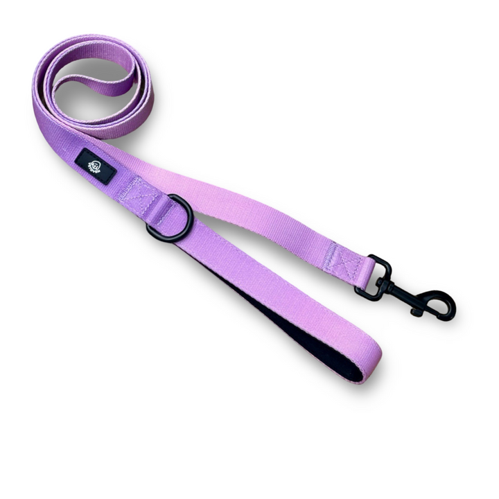 💜 Correa Lavanda Vetoven – Colección Primavera