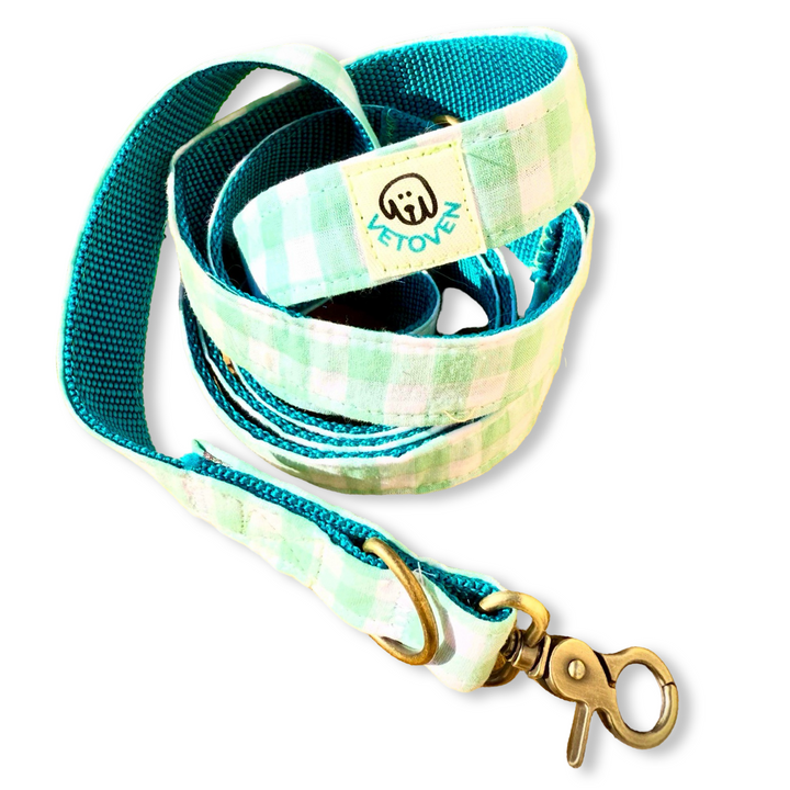 Correa multiposición para perro Vichy Mar 🌊 – 2 m, manos libres, hecha a mano y diseñada por veterinarios