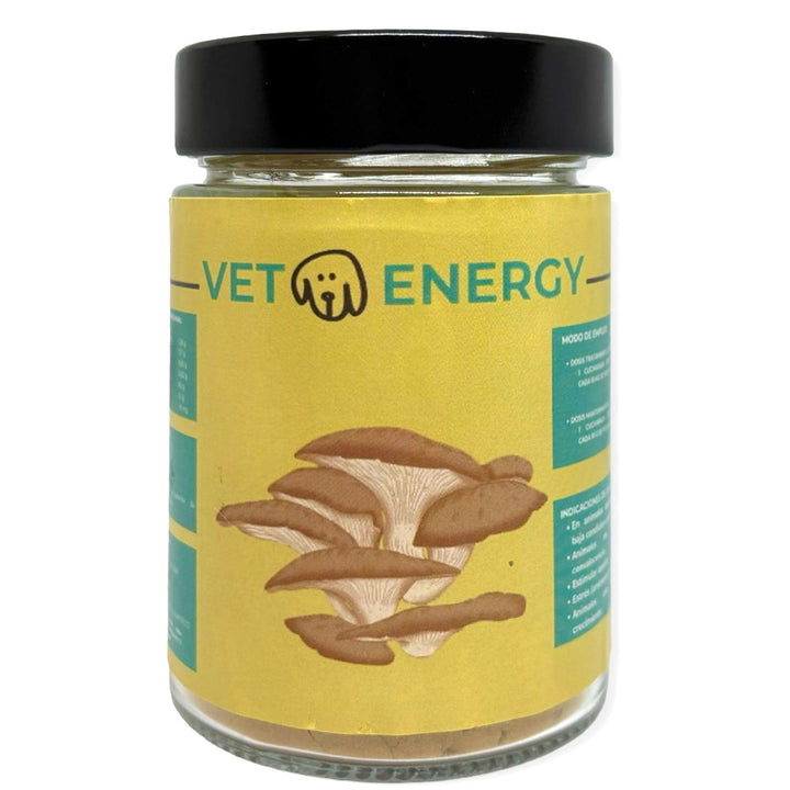 ⚡ VetoEnergy – Energía, Vitalidad y Rendimiento Natural para Perros y Gatos