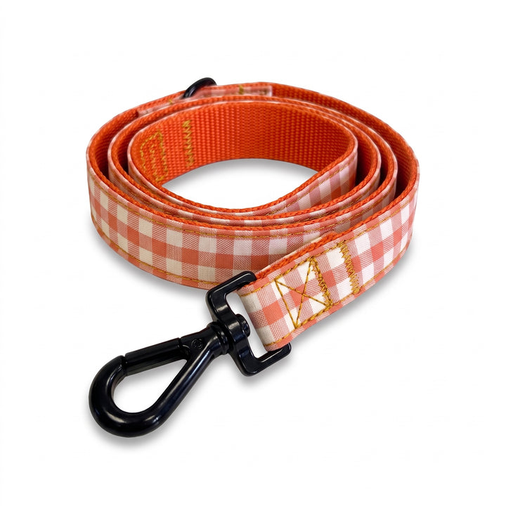 Correa Vichy Calabaza para Perro | Vetoven